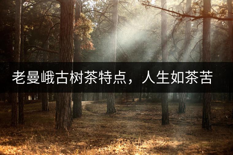 老曼峨古樹茶特點，人生如茶苦盡甘來