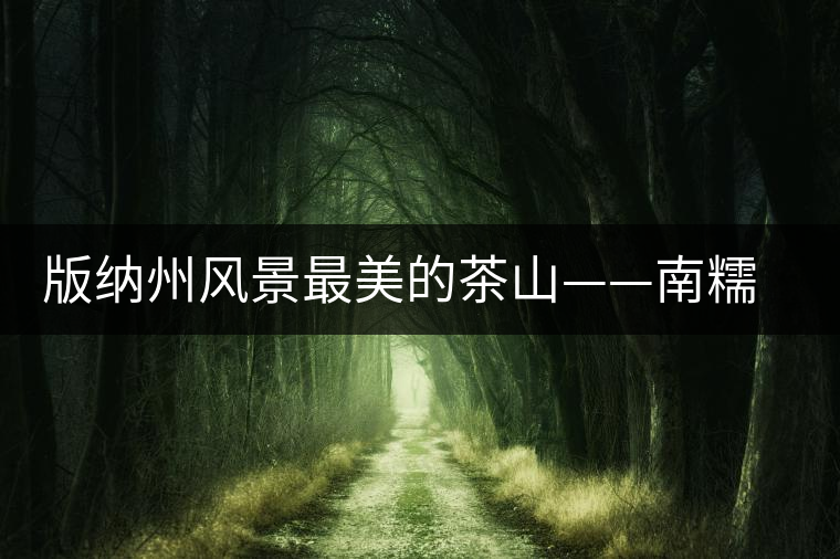 版納州風(fēng)景最美的茶山——南糯山古茶山