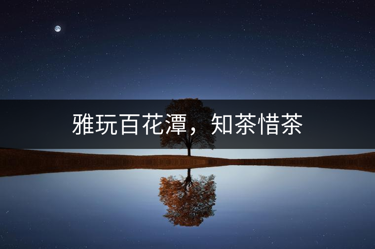 雅玩百花潭，知茶惜茶