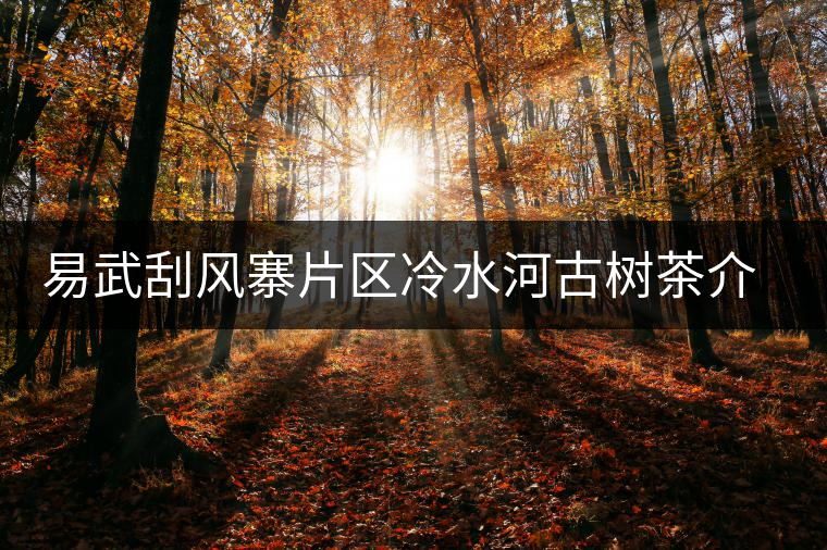 易武刮風寨片區(qū)冷水河古樹茶介紹 易武刮風寨片區(qū)冷水河古樹茶介紹
