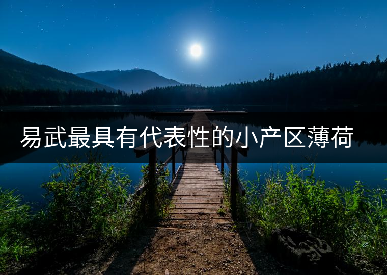 易武最具有代表性的小產(chǎn)區(qū)薄荷塘，一滴都不舍得浪費(fèi)