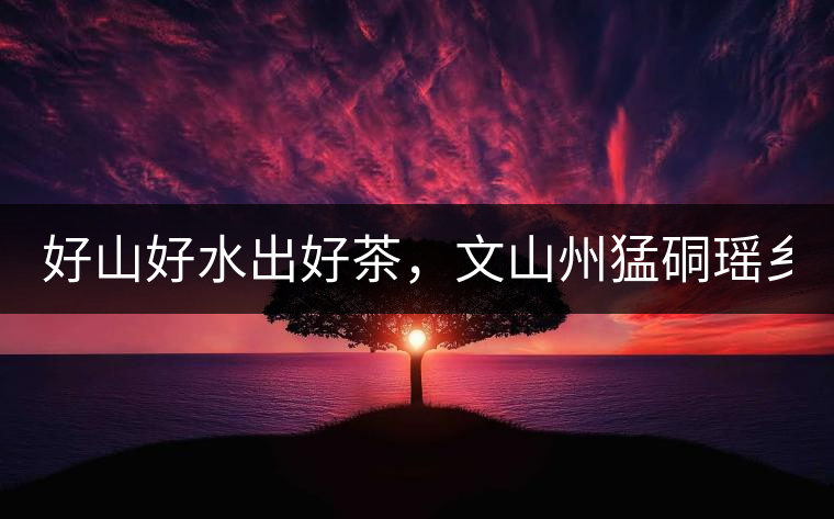 好山好水出好茶，文山州猛硐瑤鄉(xiāng)茶！