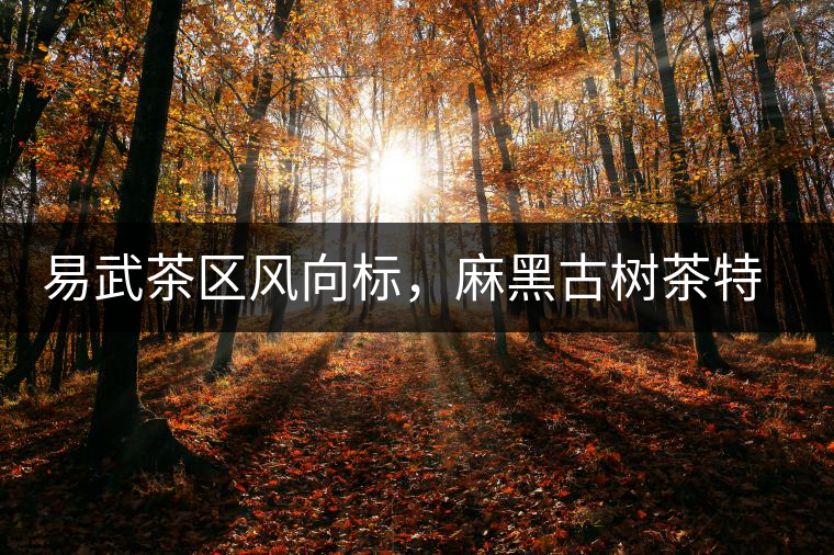 易武茶區(qū)風(fēng)向標(biāo)，麻黑古樹茶特點(diǎn)介紹