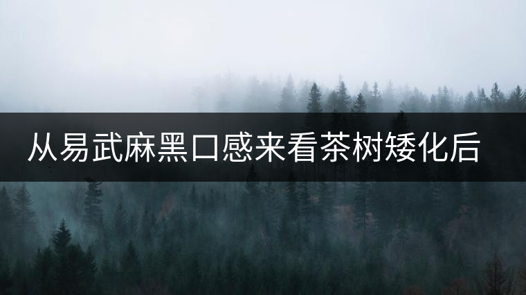 從易武麻黑口感來看茶樹矮化后的變化 從易武麻黑口感來看茶樹矮化后的變化