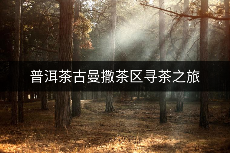 普洱茶古曼撒茶區(qū)尋茶之旅 普洱茶古曼撒茶區(qū)尋茶之旅