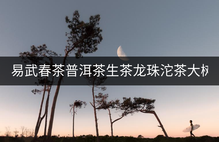 易武春茶普洱茶生茶龍珠沱茶大樹茶500克/份盒裝刮油小粒8克/顆 易武春茶普洱茶生茶龍珠沱茶大樹茶500克/份盒裝刮油小粒8克/顆