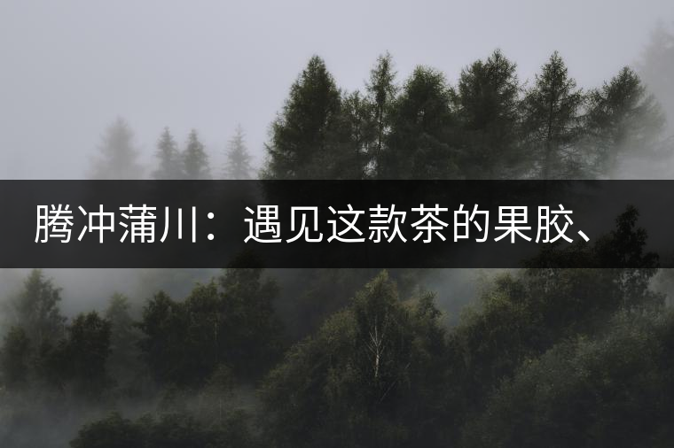 騰沖蒲川：遇見(jiàn)這款茶的果膠、甘甜