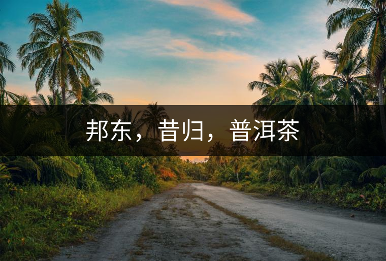 邦東，昔歸，普洱茶