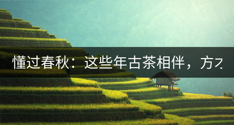 懂過春秋：這些年古茶相伴，方才懂過！