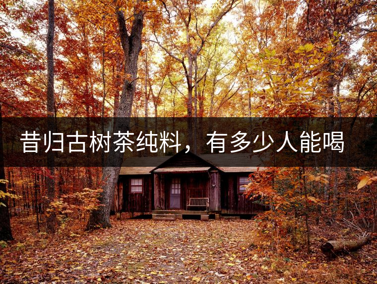 昔歸古樹(shù)茶純料，有多少人能喝到真品