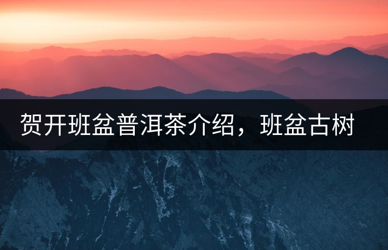 賀開班盆普洱茶介紹，班盆古樹茶口感特點(diǎn)