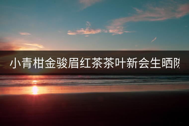 小青柑金駿眉紅茶茶葉新會生曬陳皮2020武夷濃香型君宜散裝罐裝 小青柑金駿眉紅茶茶葉新會生曬陳皮2020武夷濃香型君宜散裝罐裝