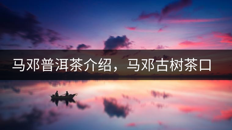 馬鄧普洱茶介紹，馬鄧古樹茶口感特點