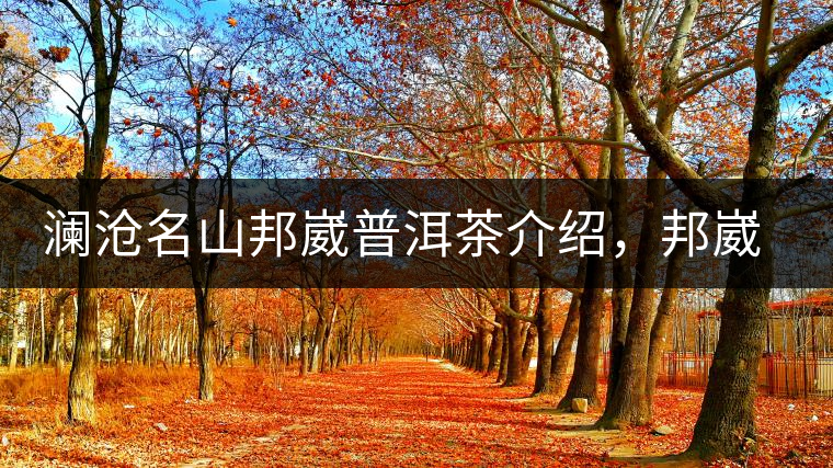 瀾滄名山邦崴普洱茶介紹，邦崴古樹茶口感特點(diǎn)