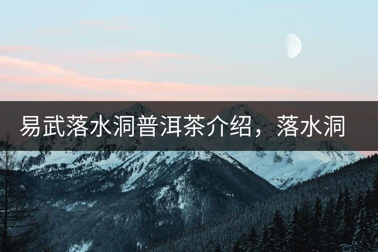 易武落水洞普洱茶介紹，落水洞古樹(shù)茶口感特點(diǎn)