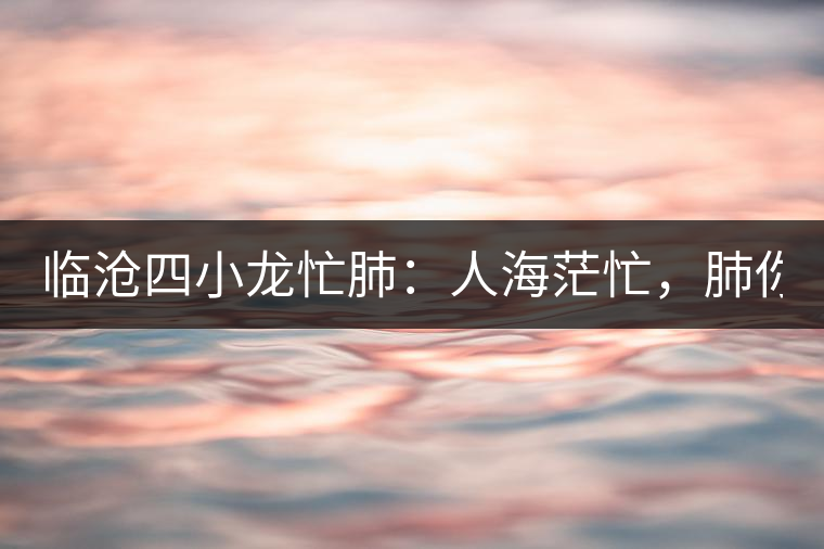 臨滄四小龍忙肺：人海茫忙，肺你莫屬！