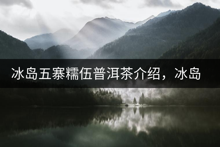 冰島五寨糯伍普洱茶介紹，冰島糯伍古樹茶口感特點