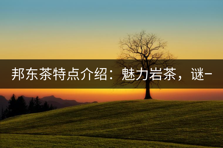 邦東茶特點(diǎn)介紹：魅力巖茶，謎一樣的邦東！