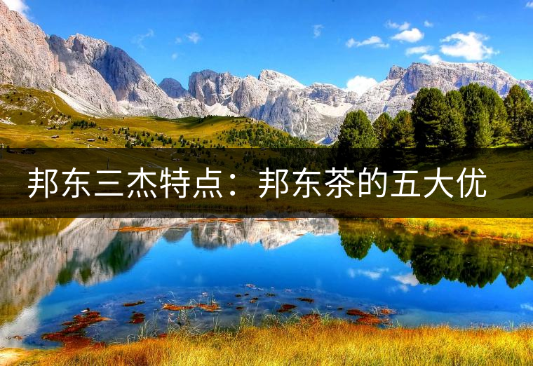 邦東三杰特點：邦東茶的五大優(yōu)點和五大缺點