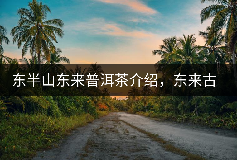 東半山東來普洱茶介紹，東來古樹茶口感特點