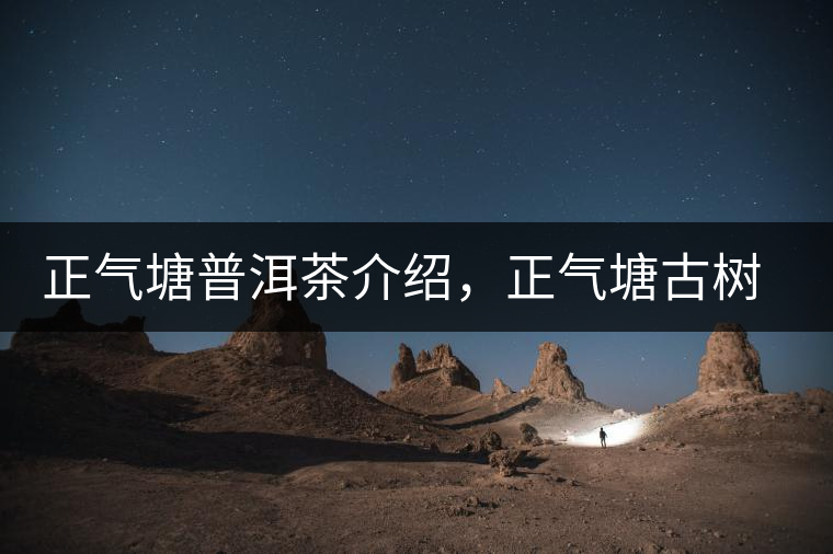 正氣塘普洱茶介紹，正氣塘古樹(shù)茶口感特點(diǎn)