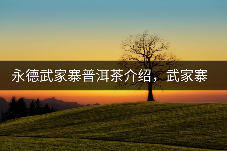 永德武家寨普洱茶介紹，武家寨古樹茶口感特點