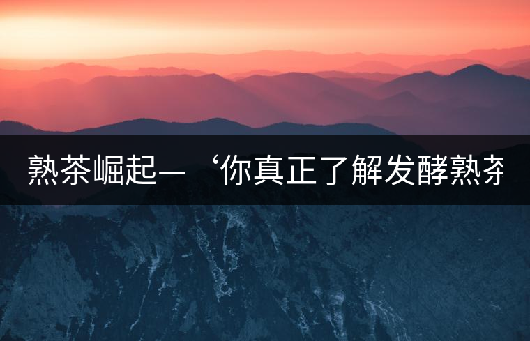 熟茶崛起—‘你真正了解發(fā)酵熟茶？’