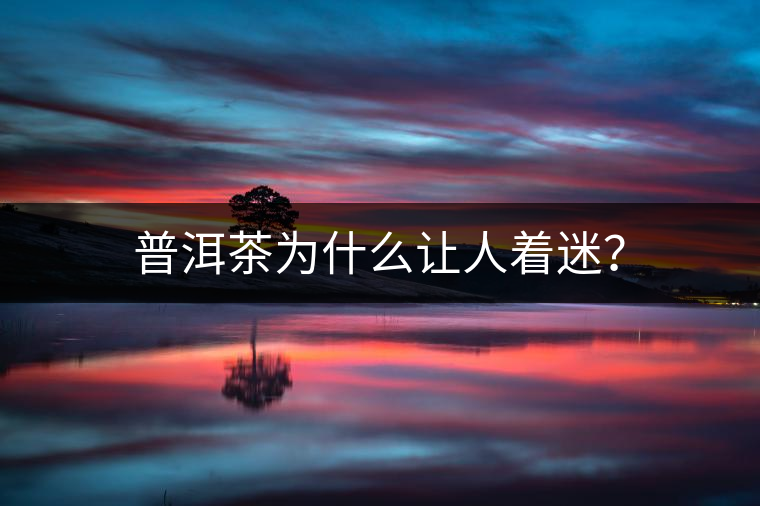 普洱茶為什么讓人著迷？