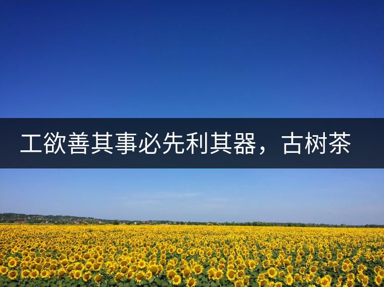 工欲善其事必先利其器，古樹茶用什么茶器最好？