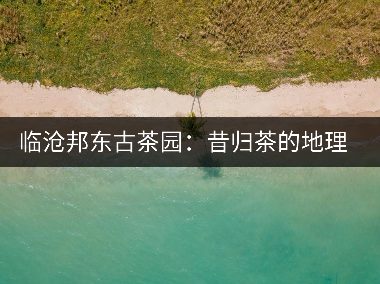臨滄邦東古茶園:昔歸茶的地理位置及口感特點(diǎn)介紹 臨滄邦東古茶園:昔歸茶的地理位置及口感特點(diǎn)介紹