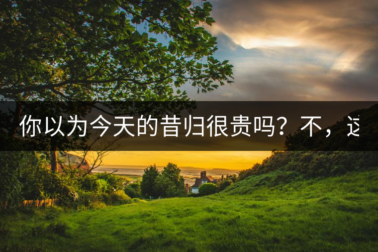 你以為今天的昔歸很貴嗎？不，這只是開始！