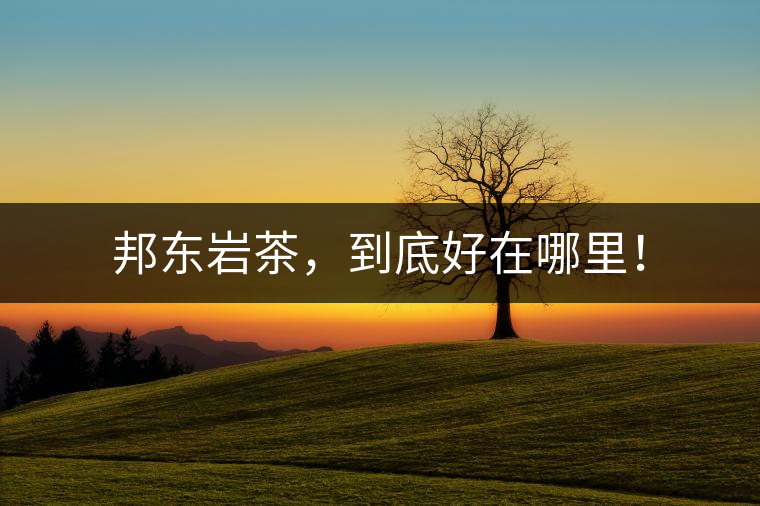 邦東巖茶，到底好在哪里！