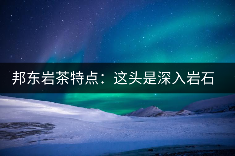 邦東巖茶特點(diǎn)：這頭是深入巖石的根，那頭是臨風(fēng)飄香的古韻