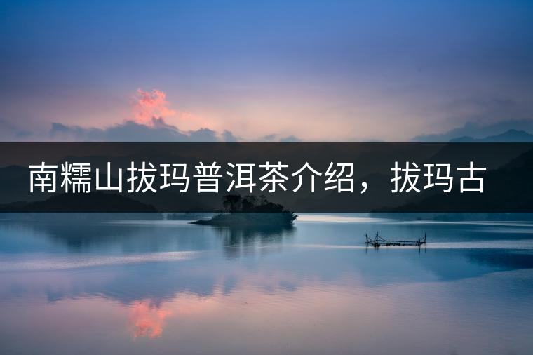 南糯山拔瑪普洱茶介紹，拔瑪古樹(shù)茶口感特點(diǎn)