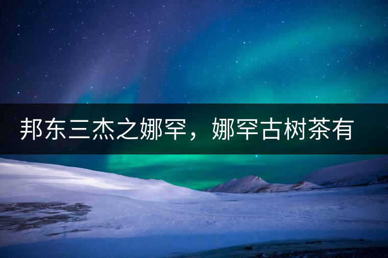 邦東三杰之娜罕，娜罕古樹(shù)茶有什么特點(diǎn)？