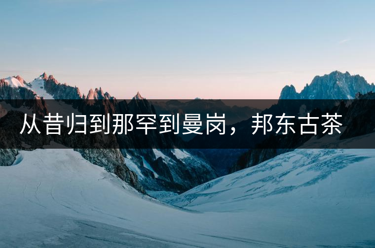從昔歸到那罕到曼崗，邦東古茶藏著一條規(guī)律！