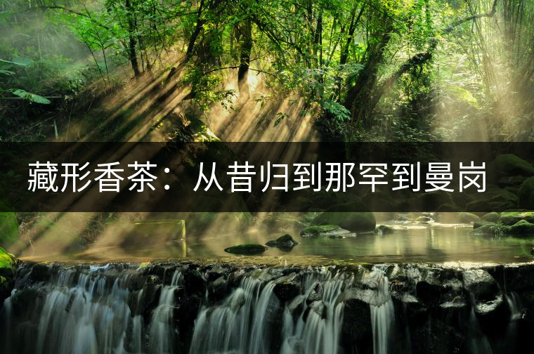 藏形香茶：從昔歸到那罕到曼崗，邦東古茶藏著一條規(guī)律！