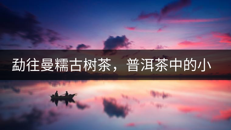 勐往曼糯古樹茶，普洱茶中的小班章