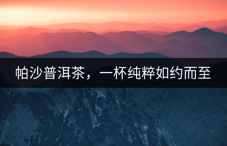 帕沙普洱茶，一杯純粹如約而至