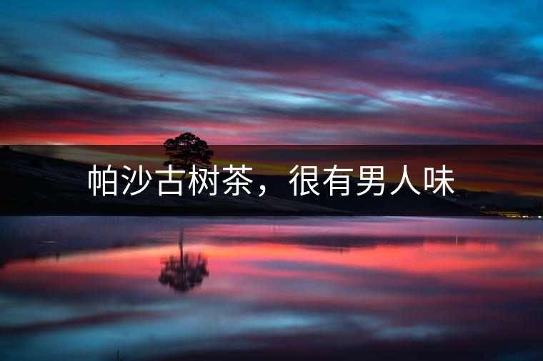 帕沙古樹茶，很有男人味