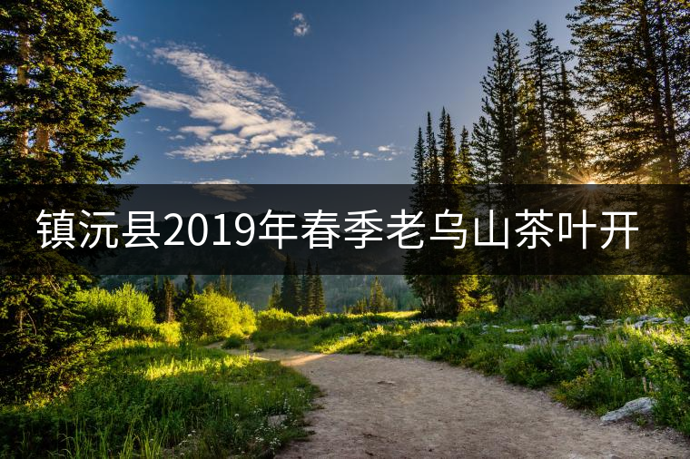 鎮(zhèn)沅縣2019年春季老烏山茶葉開采節(jié)開幕 鎮(zhèn)沅縣2019年春季老烏山茶葉開采節(jié)開幕