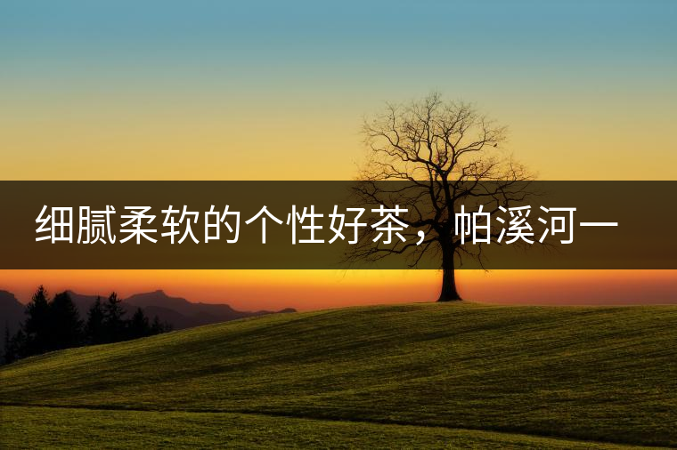 細膩柔軟的個性好茶，帕溪河一扇磨古樹茶