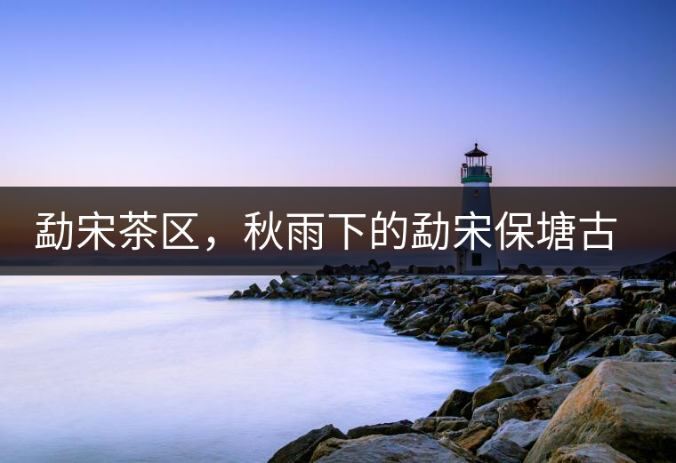 勐宋茶區(qū)，秋雨下的勐宋保塘古茶園