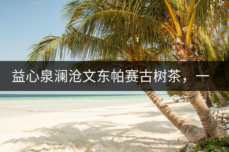 益心泉瀾滄文東帕賽古樹茶，一山茶兩岸香