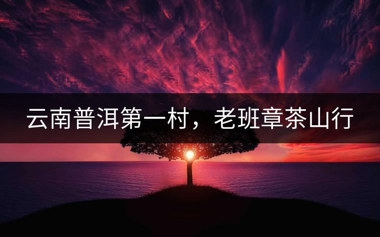 云南普洱第一村，老班章茶山行