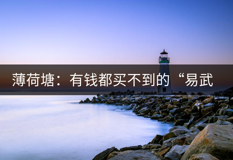 薄荷塘：有錢都買不到的“易武貴胄”，卓爾不群，無茶可及