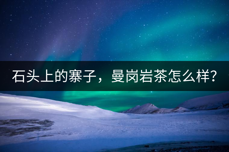 石頭上的寨子，曼崗巖茶怎么樣？