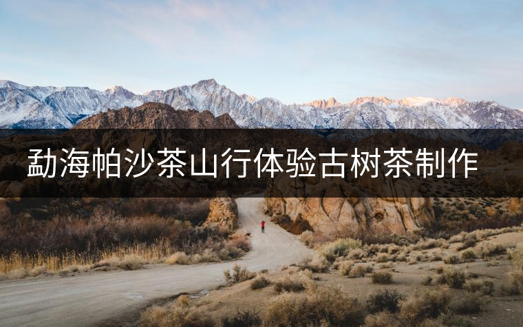 勐海帕沙茶山行體驗古樹茶制作全過程