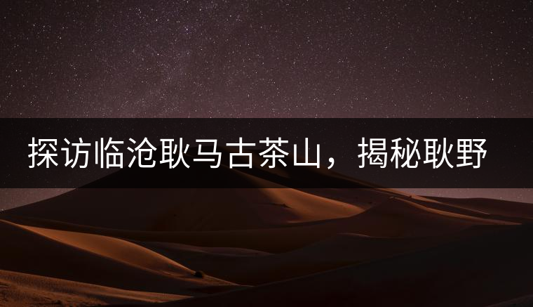 探訪臨滄耿馬古茶山，揭秘耿野生古茶樹群落