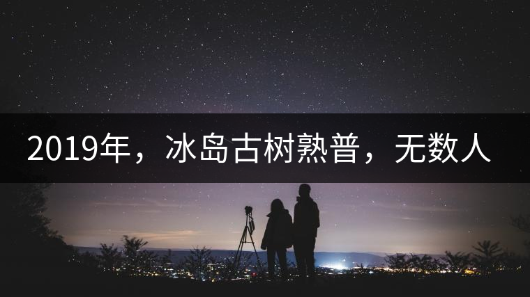 2019年，冰島古樹熟普，無數(shù)人在尋找